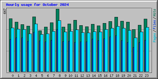 Hourly usage for October 2024