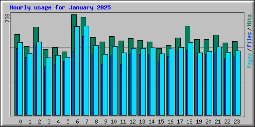 Hourly usage for January 2025